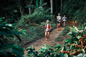 BIB: 
                            <button type="button" onclick="openModal(25814776)" class="btn btn-primary btn-sm float-right btn-popup" data-toggle="modal" data-target=".modal-high-quality">
                        <i class="fas fa-shopping-cart"></i> Add to Cart
                    </button>
                                            <button type="button" onclick="isThisMe(25814776, true)" class="btn btn-success btn-sm float-right btn-popup btn-isme hidden" data-toggle="tooltip" data-placement="bottom" title="นี่คือรูปของคุณใช่ไหม คลิกที่นี่เพื่อเอาเข้าอัลบั้ม">
                        <i class="fas fa-plus"></i> Add to album
                    </button>
                    <button type="button" onclick="isThisMe(25814776, false)" class="btn btn-warning btn-sm float-right btn-popup btn-isnotme hidden">
                        <i class="fas fa-ban"></i> Remove from album
                    </button>